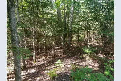 85Xxx Fireplace Rd, Port Wing, WI 54865 - Photo 9