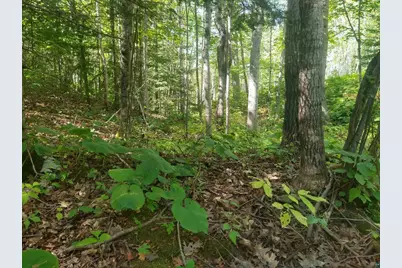 85Xxx Fireplace Rd, Port Wing, WI 54865 - Photo 23