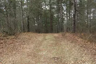 Xxxx Wilderness Ct, Barnes, WI 54873 - Photo 3