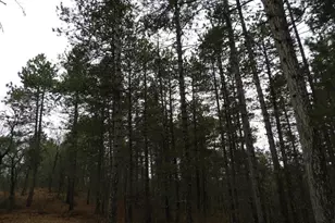Xxxx Wilderness Ct, Barnes, WI 54873 - Photo 5