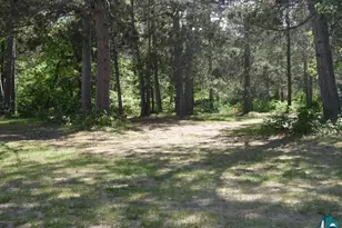 Xxxx Wilderness Ct, Barnes, WI 54873 - Photo 15