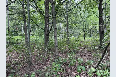 Xxx Rice Ave, Bayfield, WI 54814 - Photo 11