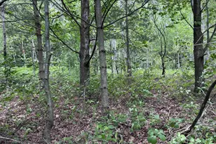 Xxx Rice Ave, Bayfield, WI 54814 - Photo 11