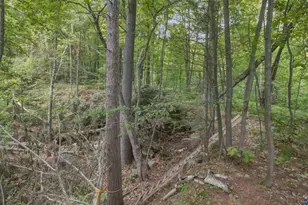 Xxx State Hwy 13, Bayfield, WI 54814 - Photo 21