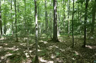 77545 W Maple Hill Rd, Washburn, WI 54891 - Photo 21