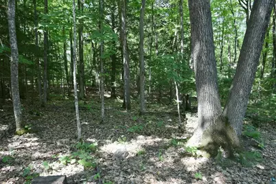 77545 W Maple Hill Rd, Washburn, WI 54891 - Photo 25