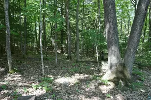 77545 W Maple Hill Rd, Washburn, WI 54891 - Photo 25