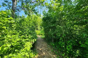 37750 Creek Trl, Bayfield, WI 54814 - Photo 49