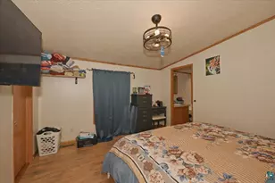 30234 Dove Rd, Danbury, WI 54830 - Photo 11