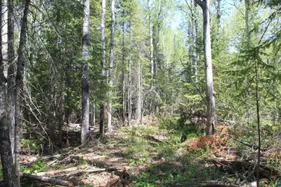 7195 E State Hwy 13, South Range, WI 54874 - Photo 93