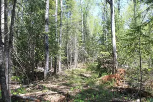 7195 E State Hwy 13, South Range, WI 54874 - Photo 93