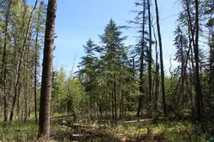 7195 E State Hwy 13, South Range, WI 54874 - Photo 99