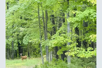 10375 Hillside Ln, Iron River, WI 54847 - Photo 33