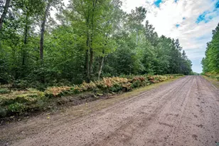 63Xxx Bradfield Rd, Iron River, WI 54847 - Photo 7