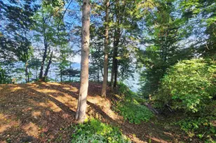 89280 E Romans Point Rd, Herbster, WI 54844 - Photo 7