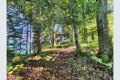 89280 E Romans Point Rd, Herbster, WI 54844 - Photo 31