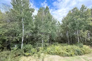 109 Prentice Heights Rd, Ashland, WI 54806 - Photo 9
