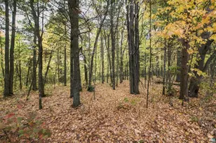69110 Fire Lake Rd, Iron River, WI 54847 - Photo 35