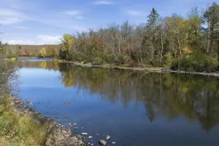 6680 N Dam Rd, Winter, WI 54896 - Photo 49