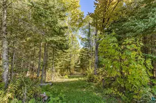 10037 E Gustafson Rd, Poplar, WI 54864 - Photo 77