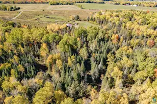 10037 E Gustafson Rd, Poplar, WI 54864 - Photo 49