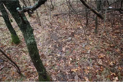 3917 North Shore Drive, Eau Claire, WI 54703 - Photo 9