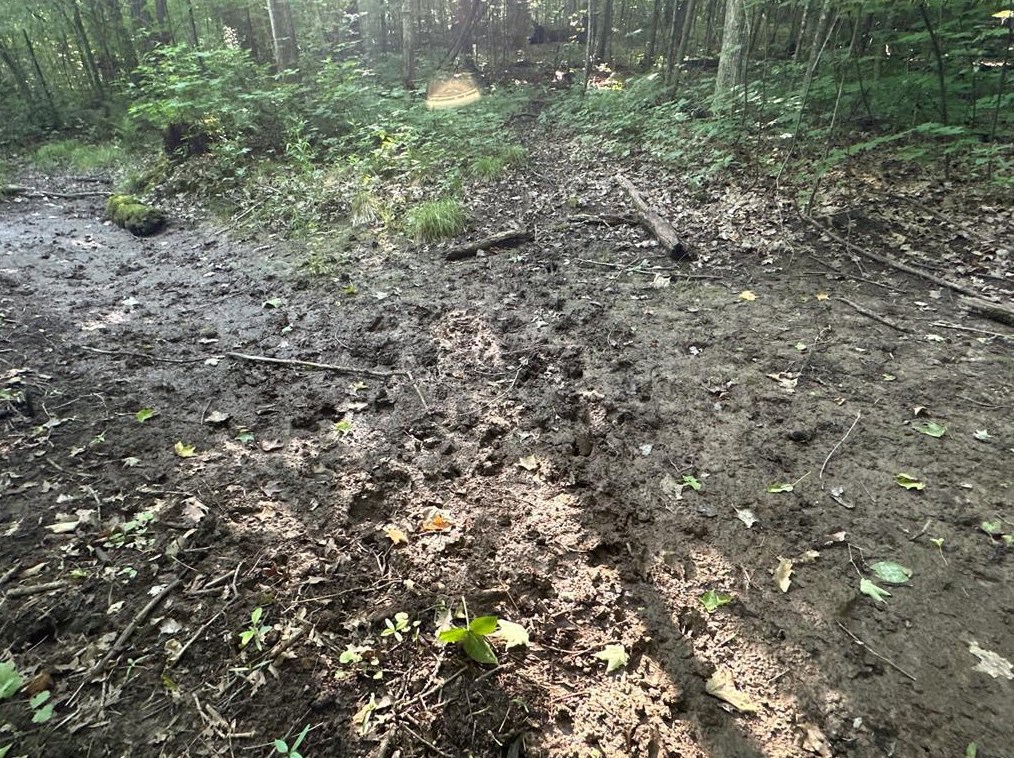 2445 23rd St, Canton WI exterior