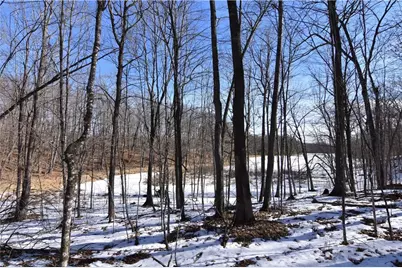 0 290th Avenue, New Auburn, WI 54757 - Photo 3