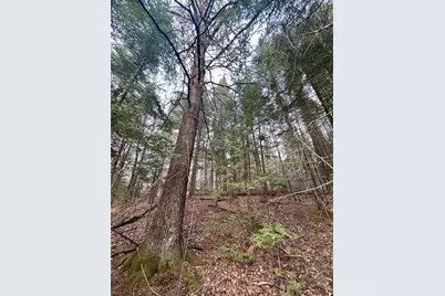 0 Airport Road, Hayward, WI 54843 - Photo 11