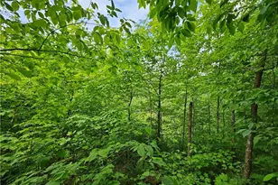 12989W Atlas Ln, Hayward, WI 54843 - Photo 23