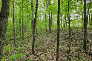 12989W Atlas Ln, Hayward, WI 54843 - Photo 33