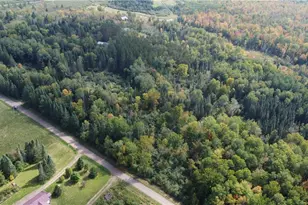 7043 W Fadness Rd, Winter, WI 54896 - Photo 53