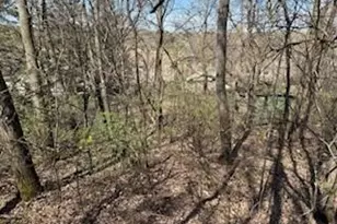 [Address not provided], Colfax, WI 54730 - Photo 31