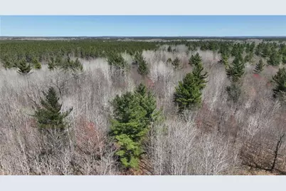 Xx E Beauregard Lake Road, Solon Springs, WI 54873 - Photo 9