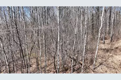 Xx E Beauregard Lake Road, Solon Springs, WI 54873 - Photo 29