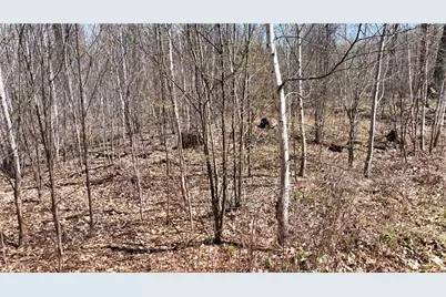 Xx E Beauregard Lake Road, Solon Springs, WI 54873 - Photo 35