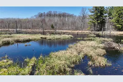 Xx E Beauregard Lake Road, Solon Springs, WI 54873 - Photo 21