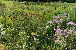 169003 Shorewood Dr, Rosholt, WI 54473 - Photo 45