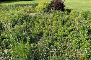 169003 Shorewood Dr, Rosholt, WI 54473 - Photo 51