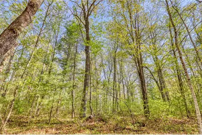 10148 McClaine Road, Hayward, WI 54843 - Photo 33