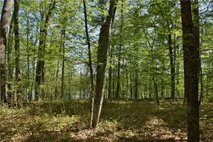 N872 County Hwy Md, Sarona, WI 54870 - Photo 37