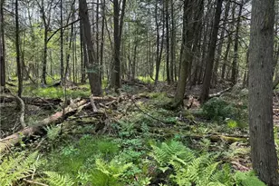 W15014 E Silver Creek Rd, Birnamwood, WI 54414 - Photo 35