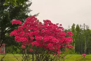 30345 136th St, New Auburn, WI 54757 - Photo 27