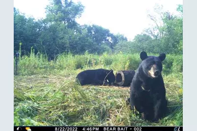 2424 12 3/4 Avenue, Cameron, WI 54822 - Photo 41