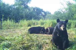 2424 12 3/4 Ave, Cameron, WI 54822 - Photo 41