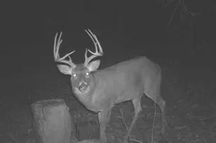 2424 12 3/4 Ave, Cameron, WI 54822 - Photo 43