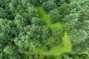 W6616 Poertner Rd, Neillsville, WI 54456 - Photo 11