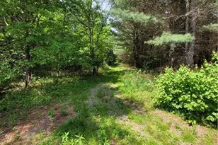 W6616 Poertner Rd, Neillsville, WI 54456 - Photo 35