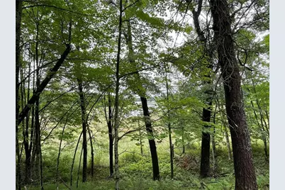 0 Loon Lake Road, Spooner, WI 54801 - Photo 5