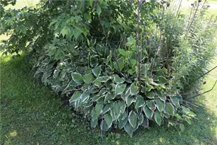 218 E Main St, Fairchild, WI 54741 - Photo 37